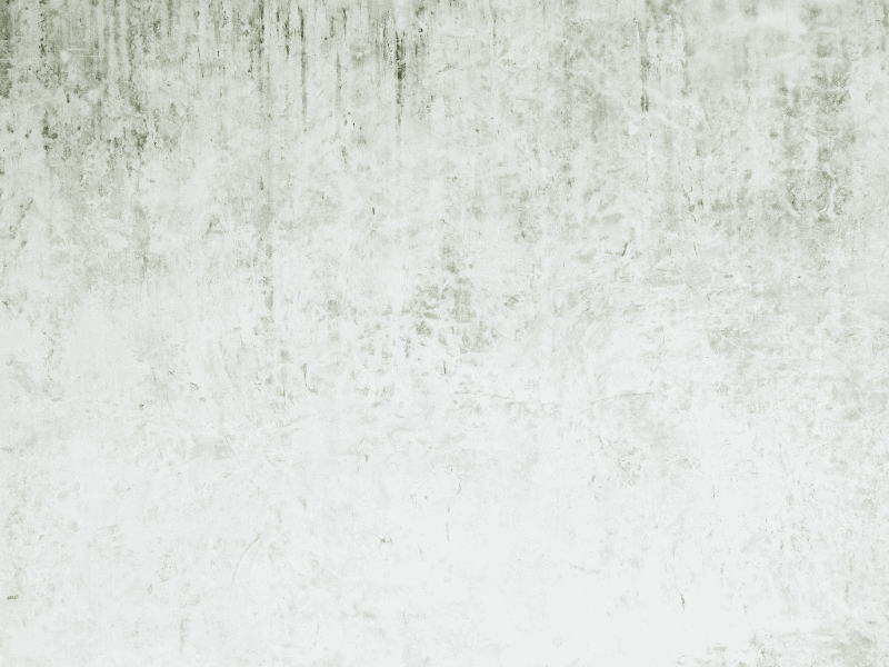 外壁のカビ・こけ